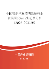 中國智能汽車照明系統行業發展研究與行業前景分析（2025-2031年）