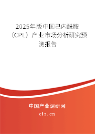 2025年版中國己內酰胺（CPL）產業市場分析研究預測報告