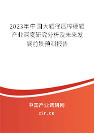 2023年中國大輥徑壓榨硬輥產業深度研究分析及未來發展前景預測報告