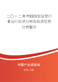 二〇一二年中國微型盆景行業運行現狀分析及投資前景分析報告