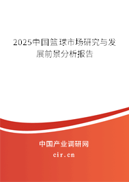 2025中國籃球市場(chǎng)研究與發(fā)展前景分析報(bào)告