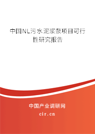 中國NL污水泥漿泵項目可行性研究報告