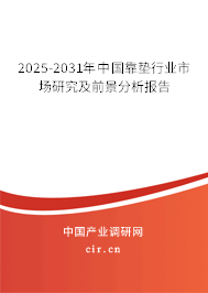 2025-2031年中國靠墊行業市場研究及前景分析報告