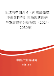 全球與中國AIM（丙烯酸酯抗沖擊改性劑）市場現狀調研與發展趨勢分析報告（2024-2030年）