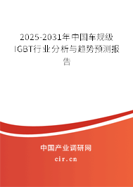 2025-2031年中國車規級IGBT行業分析與趨勢預測報告