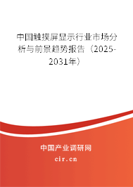 中國觸摸屏顯示行業市場分析與前景趨勢報告（2025-2031年）