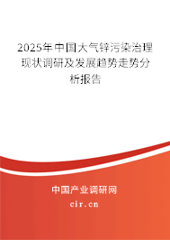 2025年中國大氣鋅污染治理現狀調研及發展趨勢走勢分析報告