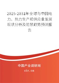 2025-2031年全球與中國電力、熱力生產和供應業發展現狀分析及前景趨勢預測報告