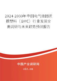 2024-2030年中國電氣級團狀模塑料（BMC）行業(yè)發(fā)展全面調(diào)研與未來趨勢預測報告