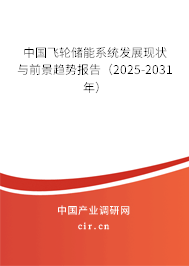 中國飛輪儲能系統發展現狀與前景趨勢報告（2025-2031年）