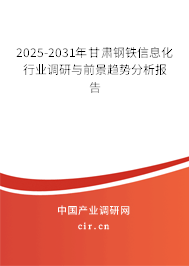 2025-2031年甘肅鋼鐵信息化行業(yè)調(diào)研與前景趨勢分析報告