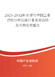 2025-2031年全球與中國工業過程分析儀器行業發展調研及市場前景報告