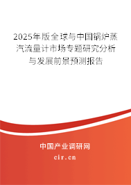 2025年版全球與中國鍋爐蒸汽流量計(jì)市場專題研究分析與發(fā)展前景預(yù)測報(bào)告