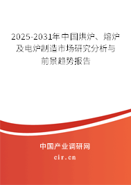 2025-2031年中國烘爐、熔爐及電爐制造市場研究分析與前景趨勢報告