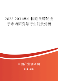 2025-2031年中國活頭棘輪扳手市場研究與行業前景分析