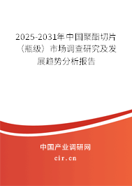 2025-2031年中國聚酯切片（瓶級）市場調查研究及發展趨勢分析報告