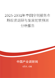 2025-2031年中國空側(cè)服務(wù)市場現(xiàn)狀調(diào)研與發(fā)展前景預(yù)測分析報告