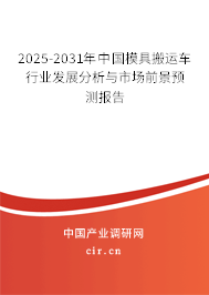 2024-2030年中國模具搬運車行業發展分析與市場前景預測報告