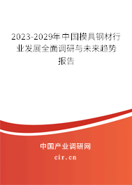 2023-2029年中國模具鋼材行業發展全面調研與未來趨勢報告