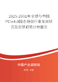 2025-2031年全球與中國PCIe4.0固態硬盤行業發展研究及前景趨勢分析報告