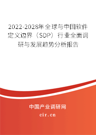 2022-2028年全球與中國軟件定義邊界（SDP）行業全面調研與發展趨勢分析報告