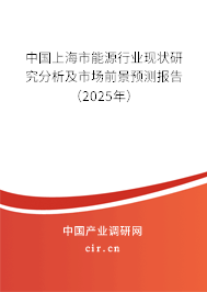 中國上海市能源行業現狀研究分析及市場前景預測報告（2025年）