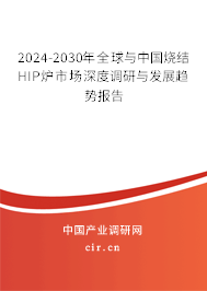 2024-2030年全球與中國燒結HIP爐市場深度調研與發展趨勢報告