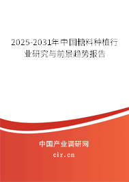 2025-2031年中國糖料種植行業研究與前景趨勢報告