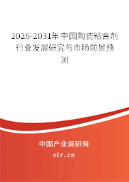 2025-2031年中國陶瓷粘合劑行業(yè)發(fā)展研究與市場前景預測