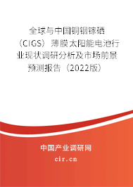 全球與中國銅銦鎵硒（CIGS）薄膜太陽能電池行業(yè)現(xiàn)狀調(diào)研分析及市場前景預測報告（2022版）