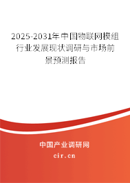2025-2031年中國物聯網模組行業發展現狀調研與市場前景預測報告