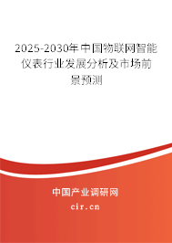 2025-2030年中國物聯網智能儀表行業發展分析及市場前景預測
