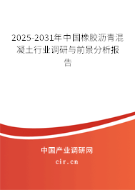 2024-2030年中國橡膠瀝青混凝土行業調研與前景分析報告