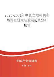 2024-2030年中國魚眼相機(jī)市場調(diào)查研究與發(fā)展前景分析報(bào)告