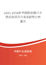 2025-2031年中國智能路燈市場調查研究與發展趨勢分析報告