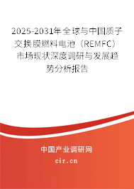 2025-2031年全球與中國質子交換膜燃料電池（REMFC）市場現狀深度調研與發展趨勢分析報告