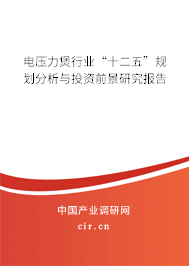 電壓力煲行業“十二五”規劃分析與投資前景研究報告