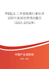 中國2,6-二甲基吡嗪行業(yè)現(xiàn)狀調(diào)研與發(fā)展前景預(yù)測報告（2025-2031年）
