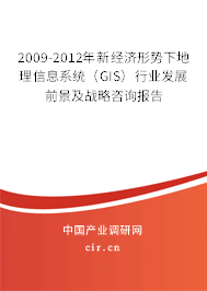 2009-2012年新經濟形勢下地理信息系統（GIS）行業發展前景及戰略咨詢報告