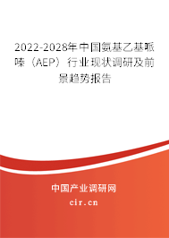 2022-2028年中國(guó)氨基乙基哌嗪（AEP）行業(yè)現(xiàn)狀調(diào)研及前景趨勢(shì)報(bào)告
