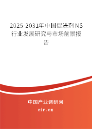2025-2031年中國促進(jìn)劑NS行業(yè)發(fā)展研究與市場前景報告