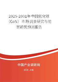 2025-2031年中國氮化鎵（GaN）市場調查研究與前景趨勢預測報告