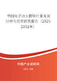 中國電子點火模塊行業發展分析與前景趨勢報告（2024-2030年）