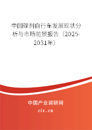 中國碟剎自行車發展現狀分析與市場前景報告（2025-2031年）