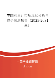 中國肺量計市場現狀分析與趨勢預測報告（2025-2031年）