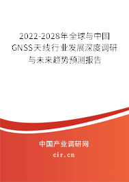 2022-2028年全球與中國GNSS天線行業發展深度調研與未來趨勢預測報告