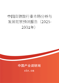 中國高鐵酸行業市場分析與發展前景預測報告（2025-2031年）