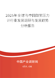 2025年全球與中國鼓室壓力計行業發展調研與發展趨勢分析報告