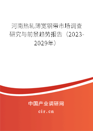 河南熱軋薄寬鋼帶市場調查研究與前景趨勢報告（2023-2029年）