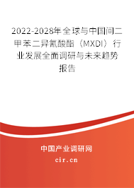 2022-2028年全球與中國間二甲苯二異氰酸酯（MXDI）行業發展全面調研與未來趨勢報告